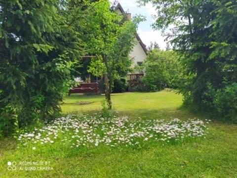 Apartament Lesny Supraśl Eksteriør bilde